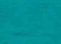 1355
