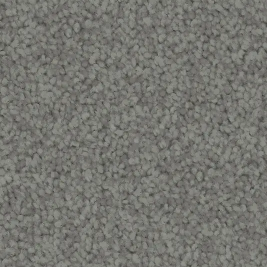 204