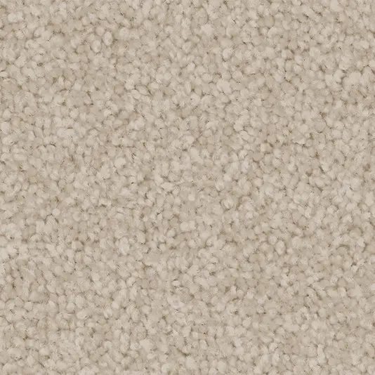 206