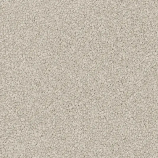 224