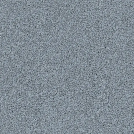 244