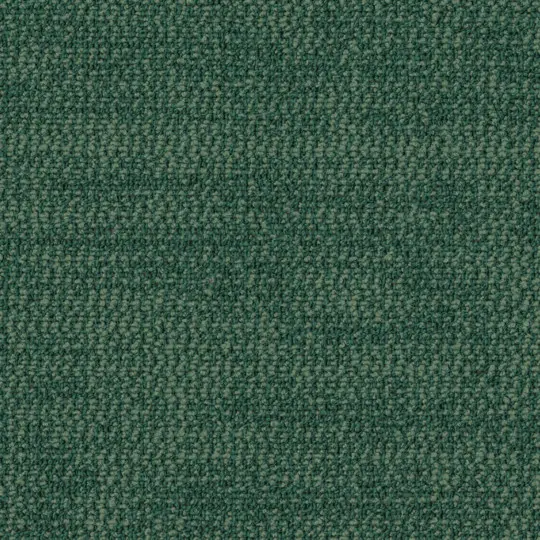 543