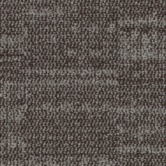 558