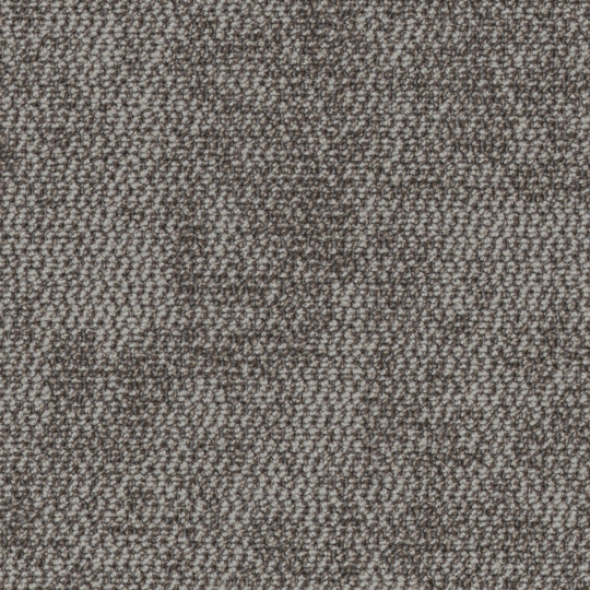 559
