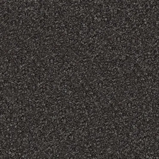 81