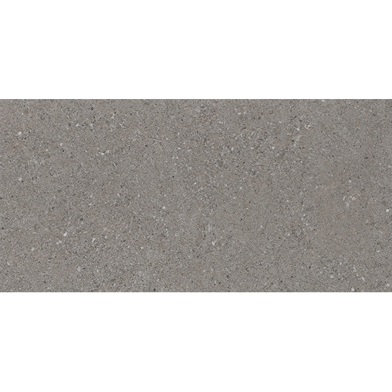 CONCRETE-STONE-MOTTLED