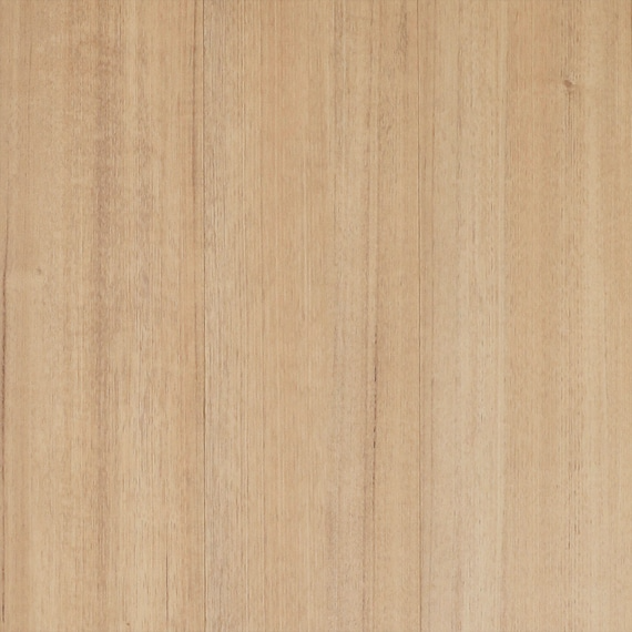 Cradle-Tasmanian-Oak_08