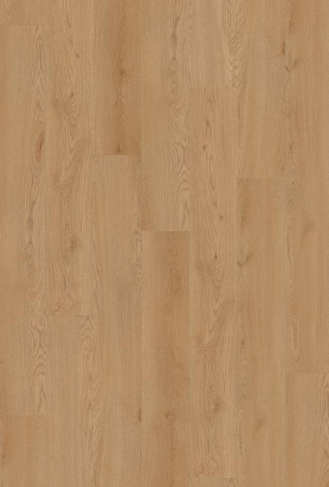 EUROOAKSWATCH_650x