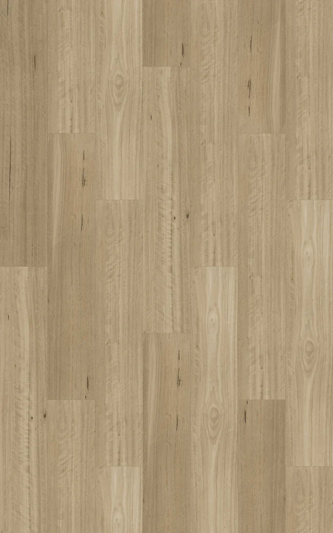 HYB1500.182.215SOMERSETBLACKBUTTSWATCH_650x