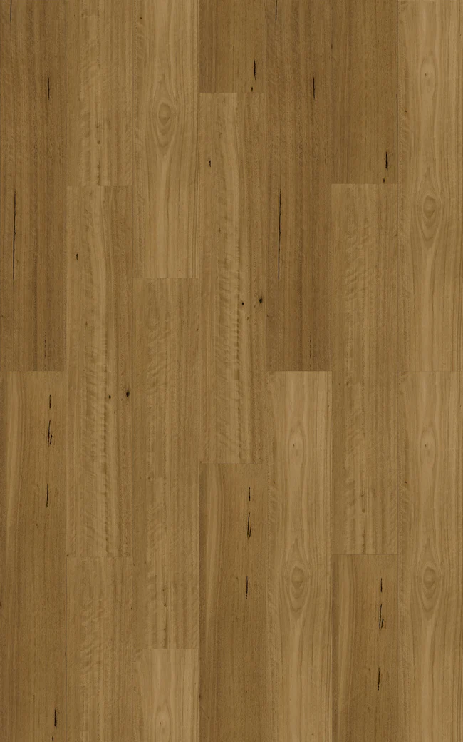 HYB1500.182.250BLACKBUTTTRADITIONALSWATCH_650x