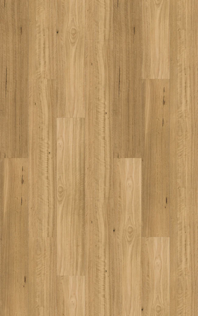 HYB1800.180.220SANDEDBLACKBUTTSWATCH_650x