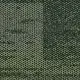 ae317_leaf_va0