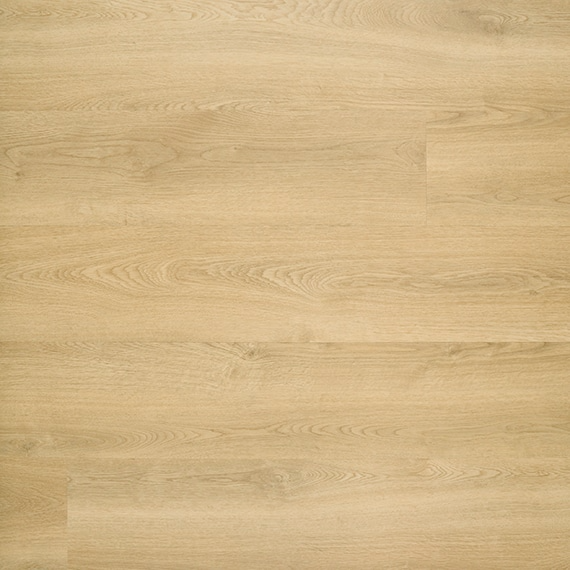 p_Mosman-Hybrid-Carrington