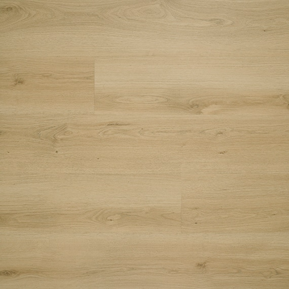 p_Mosman-Hybrid-Harnett