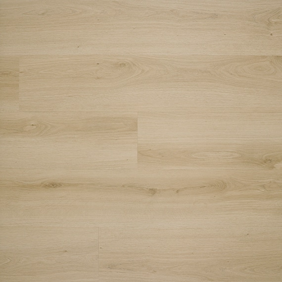 p_Mosman-Hybrid-Stanton