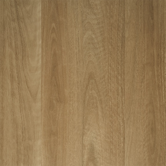 p_RETREAT_MIRIMA_SPOTTEDGUM-1