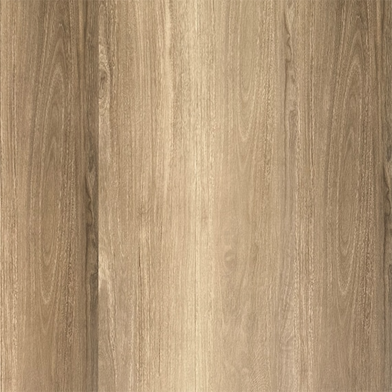 p_RETREAT_TOOLARA_SPOTTEDGUM-1