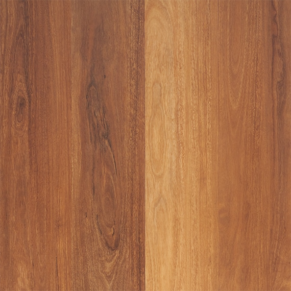 p_RETREAT_YENGO_SPOTTEDGUM-1